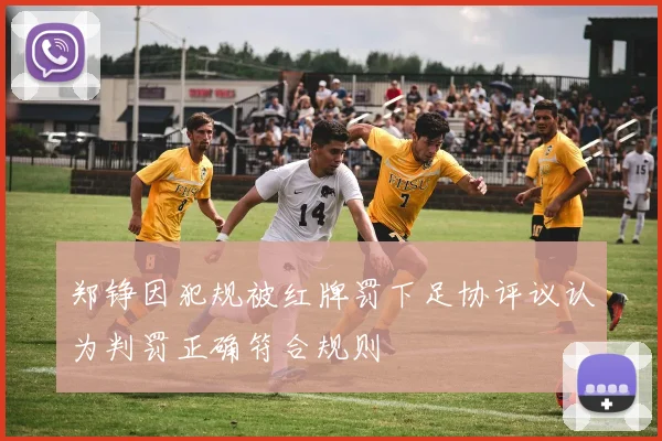 郑铮因犯规被红牌罚下足协评议认为判罚正确符合规则