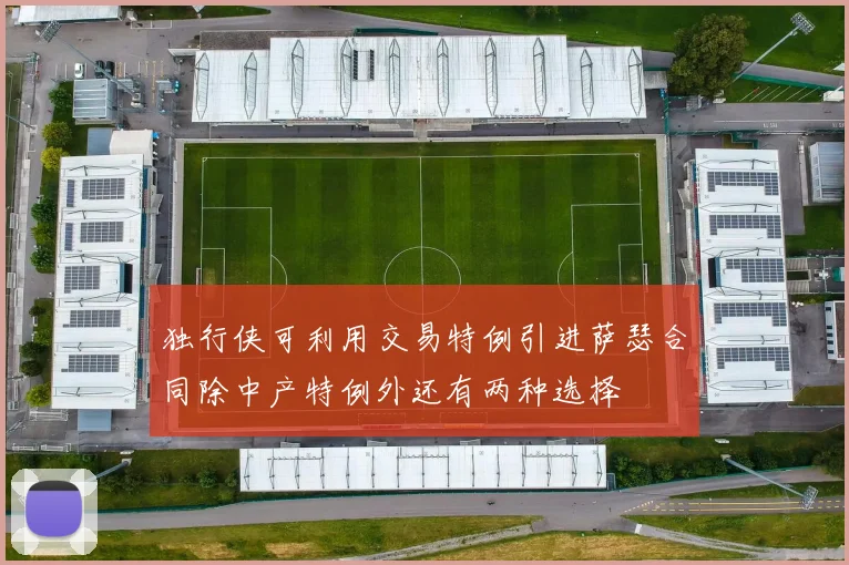 独行侠可利用交易特例引进萨瑟合同除中产特例外还有两种选择